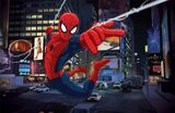 Spider-Man (Iron Man) (Castaways)