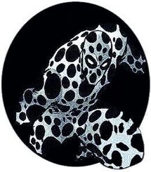 213796-184121-spot