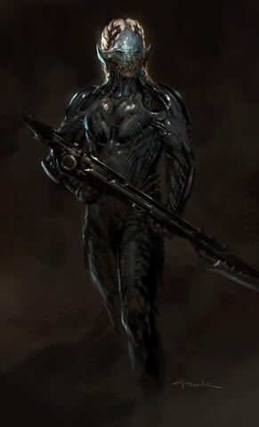 File:Darkelfconc2.jpg