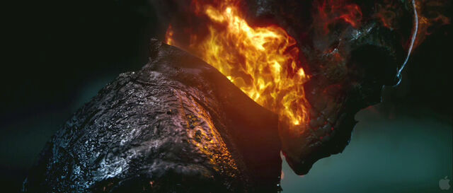 File:Ghost-Roder-2image-ghost-rider-spirit-of-vengeance-8.jpg