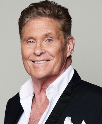 File:David Hasselhoff.jpg