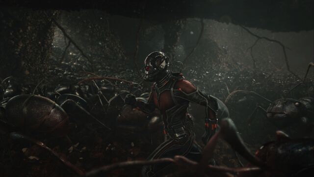 File:Ant-Man and ants.jpg
