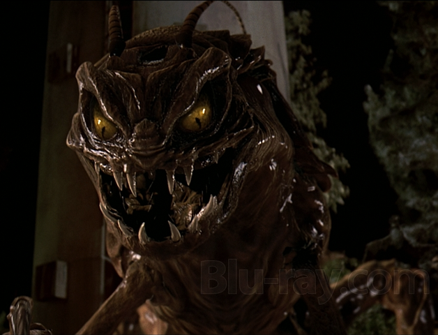 File:Bug.png