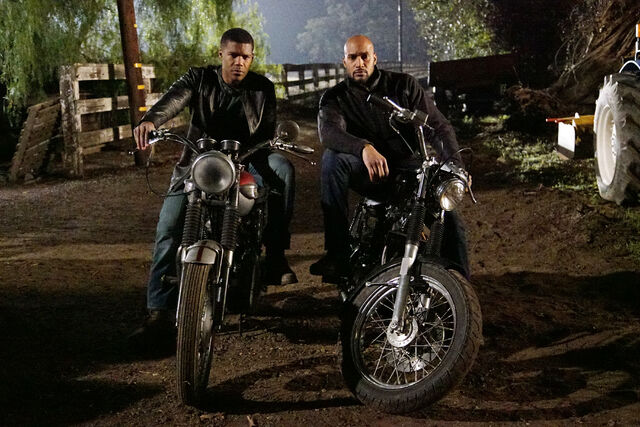 File:Watchdogs 17.jpg