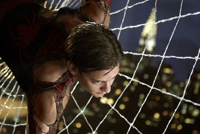 File:Spider-Parker-web.jpg