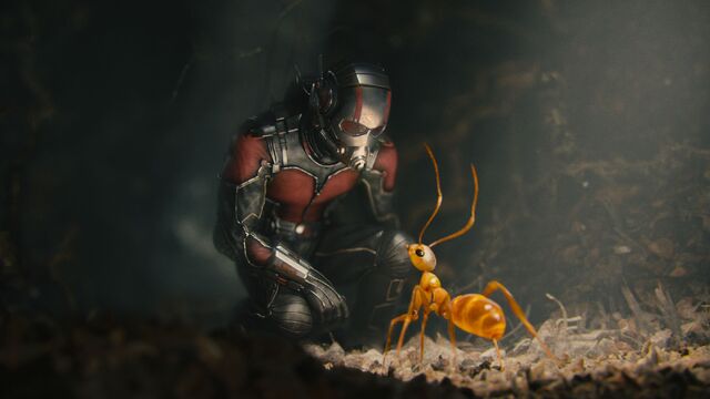 File:Ant-Man Still 12.jpg