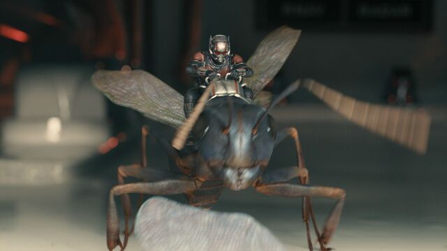 File:Ant-Man and Antony.jpg