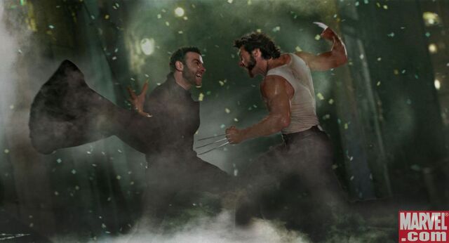 File:Wolverine vs Sabretooth.jpg