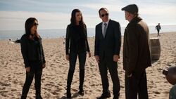 Phil-Coulson-Sif-Melinda-May-Beach-Investigation.jpg