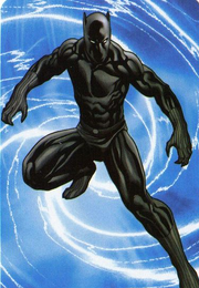01 BlackPantherUniverse2009