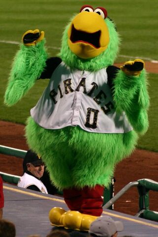 File:Pirate parrot pirates mascot.jpg