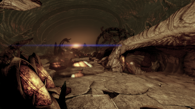File:Collector ship hold.png