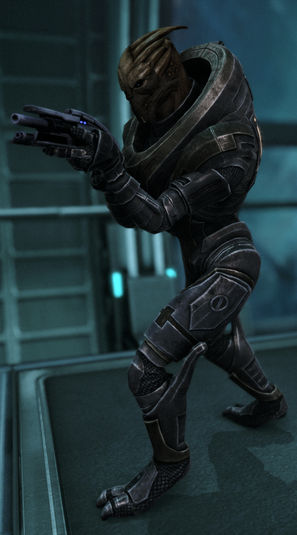 File:ERCS Guard.png