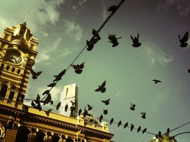 File:Iphoneography5-full.jpg