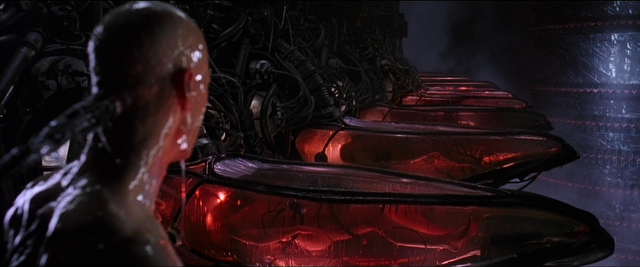 File:Matrix-cocoon.png
