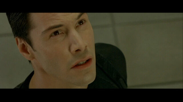 File:The Matrix 684.jpg