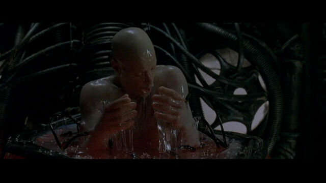 File:The Matrix 233.jpg