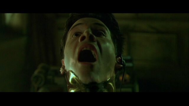 File:The Matrix 231.jpg