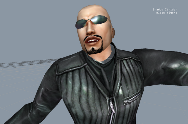 File:ShadowStrider.png