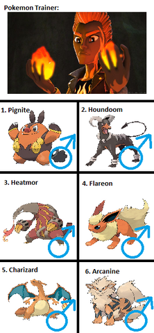 File:Flint Phoenix's Pokemon.png