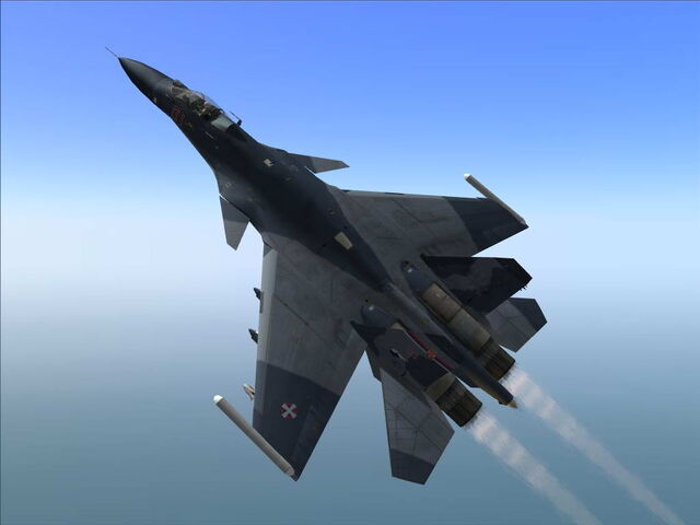 File:Sukhoi-33-1-.jpg