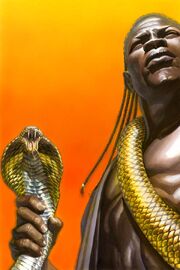 Thulsa02-cov-Ross