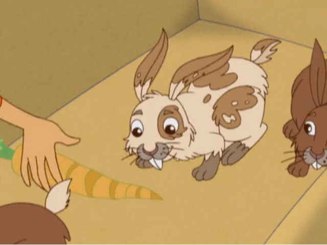 File:Conejito 02.png