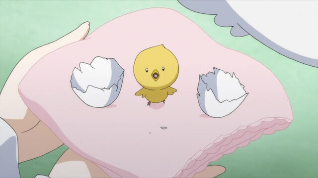 File:Chick.jpg