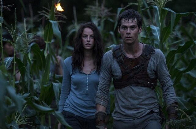 Archivo:MazeRunner6.jpg