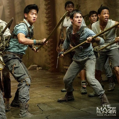 Image Thomas Minho Jeff fighting.jpg The Maze Runner Wiki FANDOM