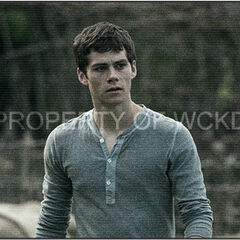 Thomas | The Maze Runner Wiki | FANDOM Powered By Wikia