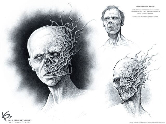 Archivo:Theflarevirus.jpg