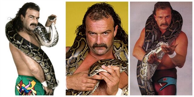 File:Jakethesnake.jpg