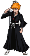 Ichigo PA