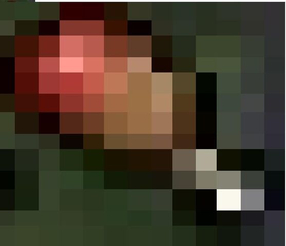 File:Drumstick.jpg