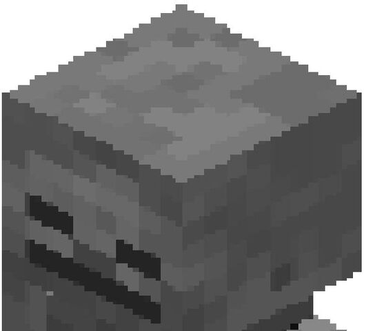 File:Skeleton.jpg