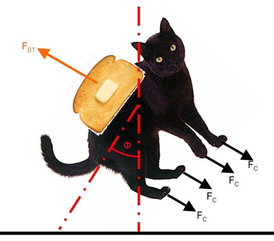 File:Cat toast.jpg