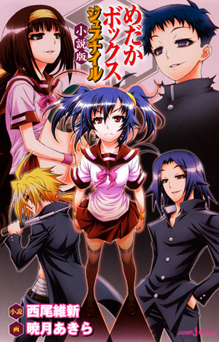 File:Light Novel 5.png