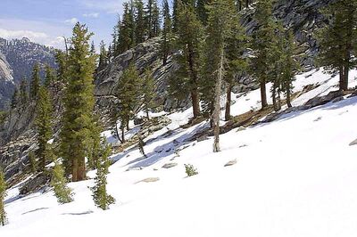 Northern Grasslands