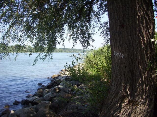 Datei:Rhein-05.jpg