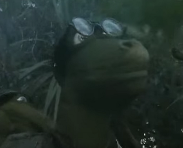 File:Chuck.png