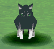 MMLCat