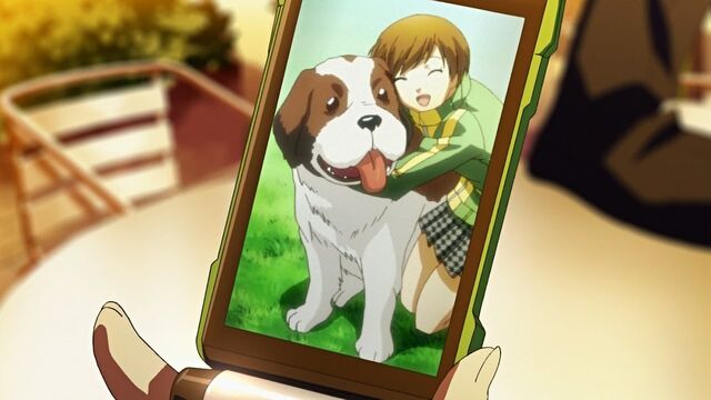 File:Chie has a picture of her pet..jpg
