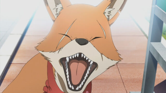 File:Persona 4 Fox.jpg