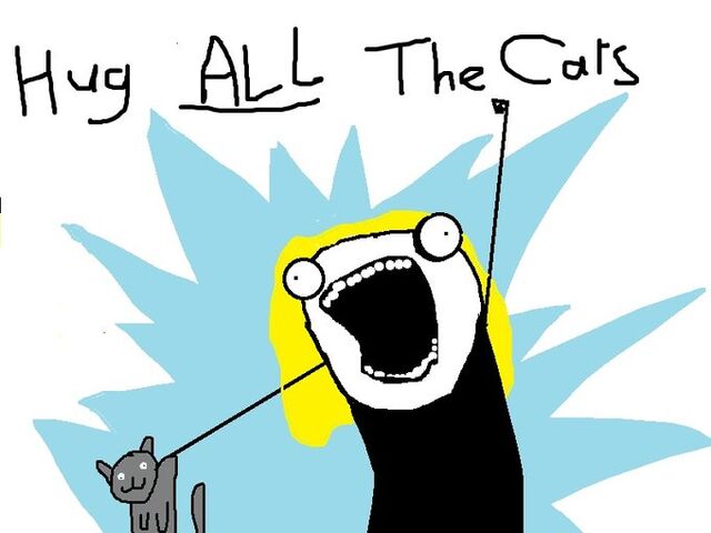 File:ALL the cats.jpg