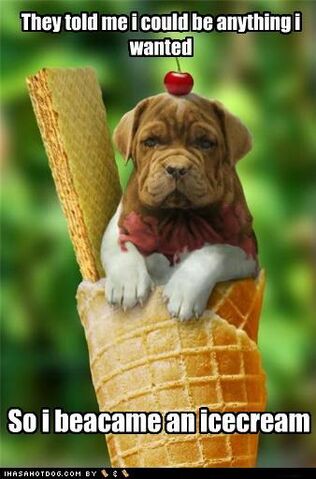File:Cute-puppy-pictures-they-told-me-i-could-be-anything-i-wanted.jpg