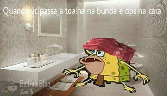 Arquivo:Bob-toalha.jpg