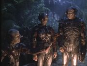 Borg-carne.jpg