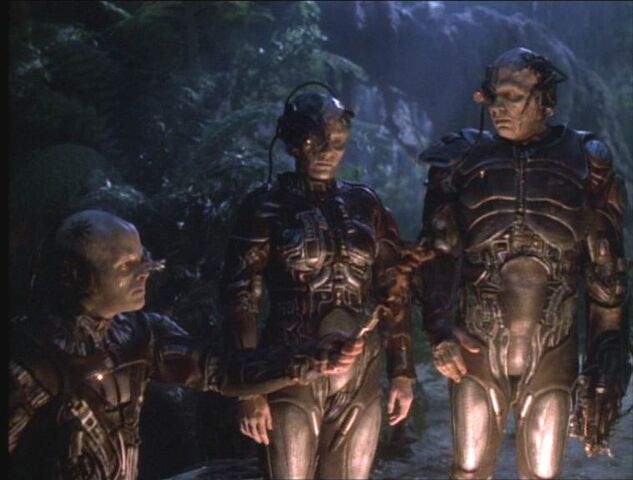 File:Borg-carne.jpg