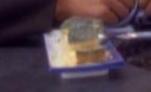 Yigrisch-Sahnetorte.jpg